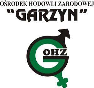 garzyn