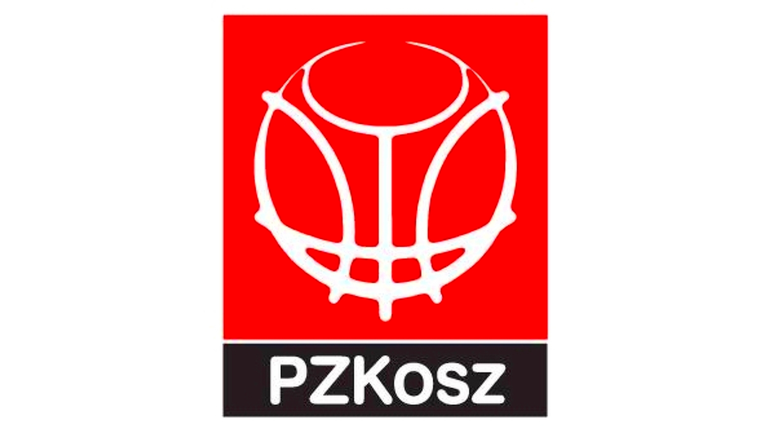 pzkoszykowki
